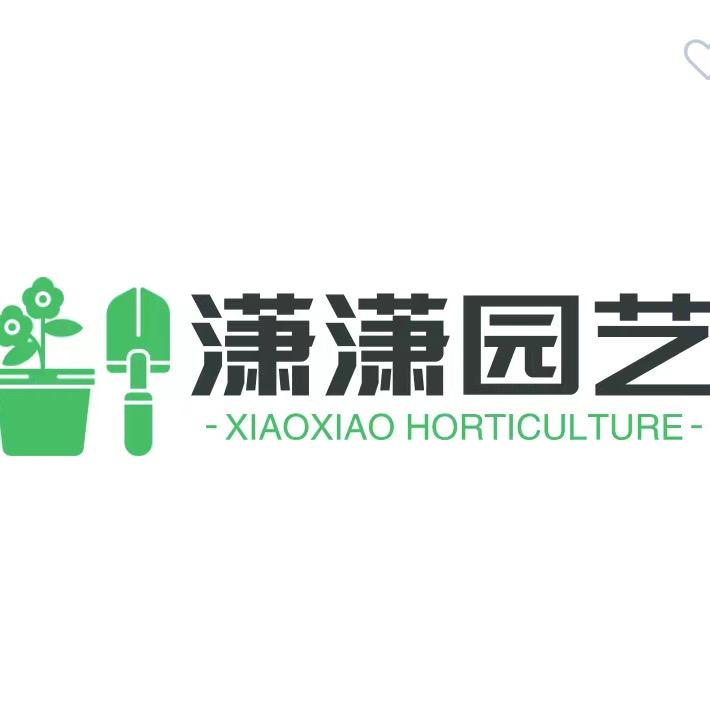 潇潇园艺花盆