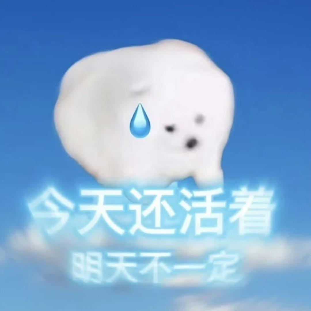 Zz呀🌙