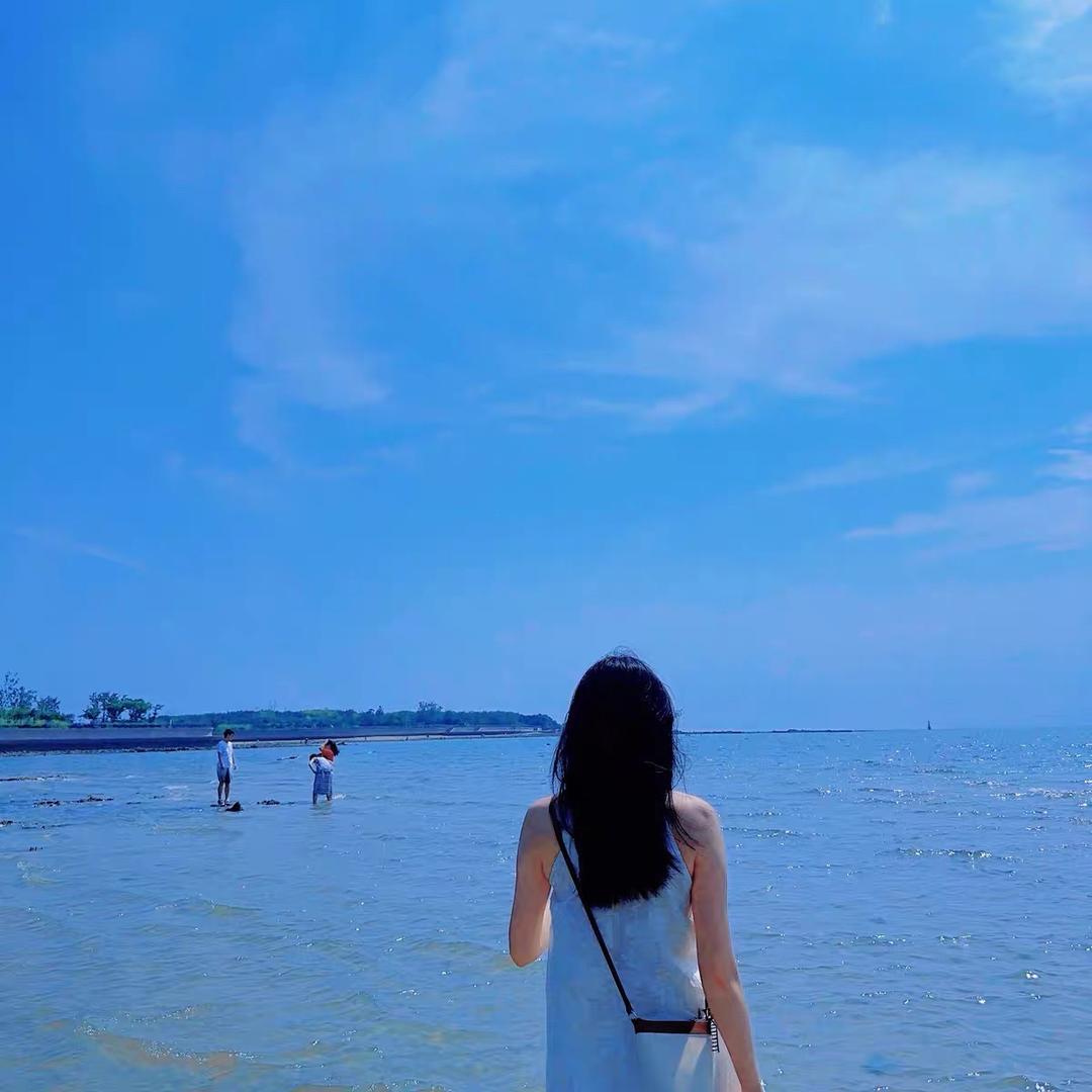 礼物的宝