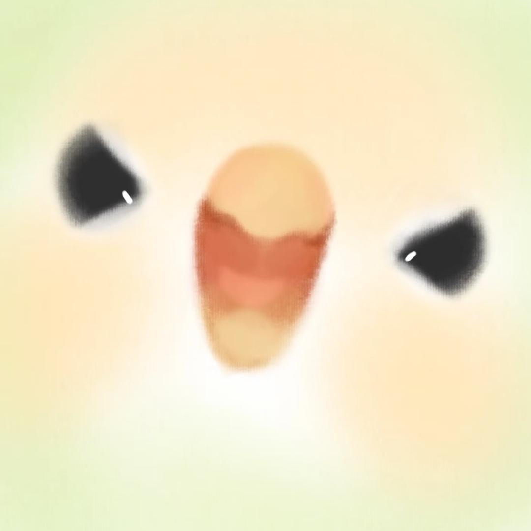 豆禾.
