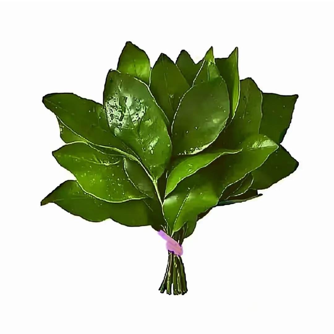 ciki