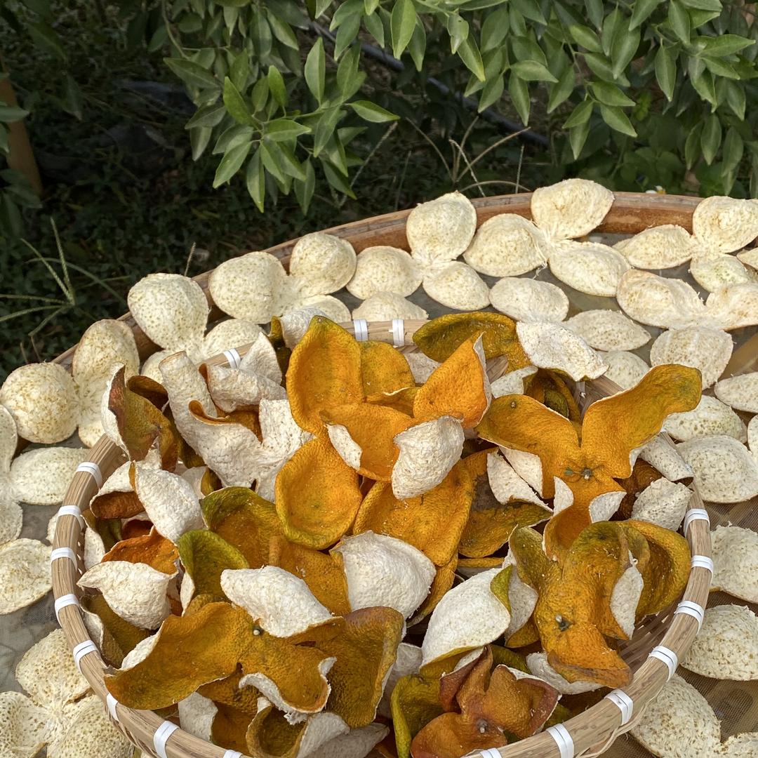 东甲村菇_新会陈皮