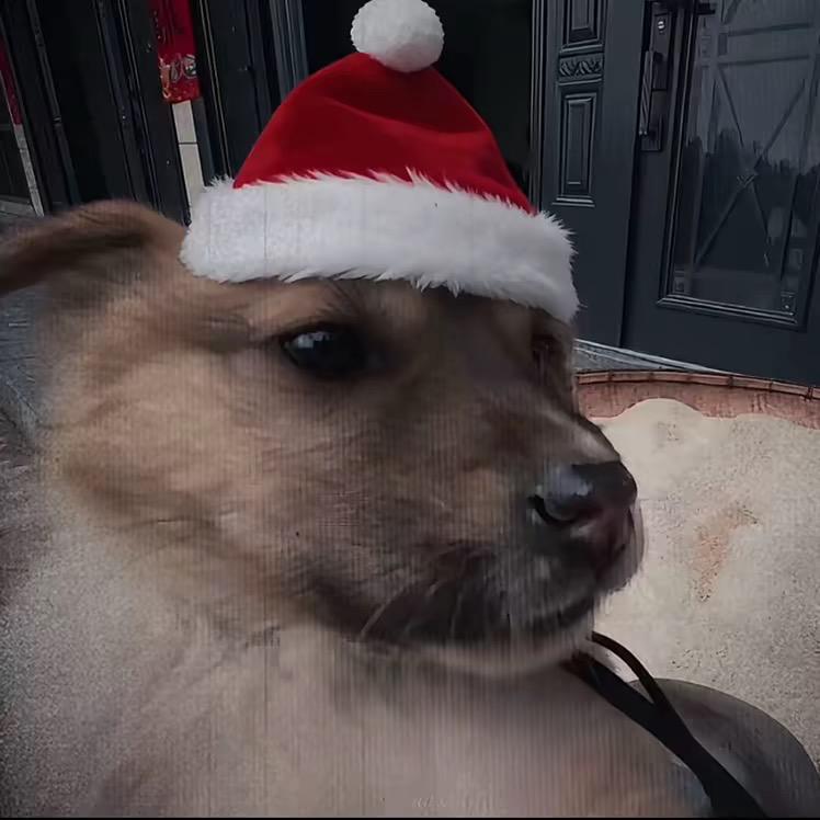 说谎