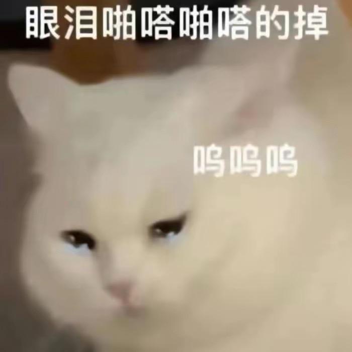 小灰
