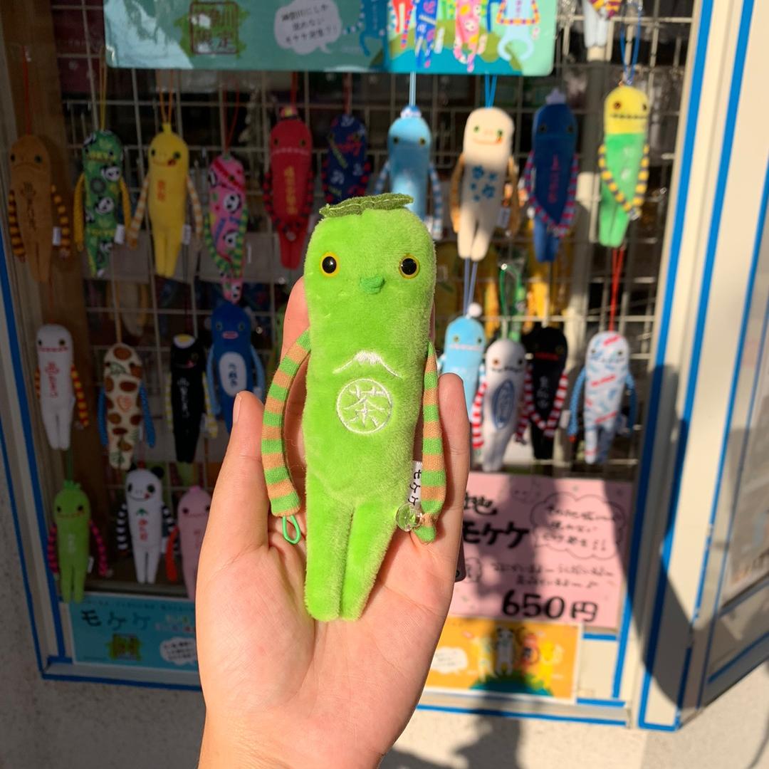 动物园冷园长