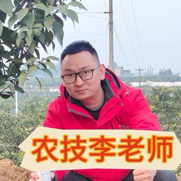 农资李老师（金正大）