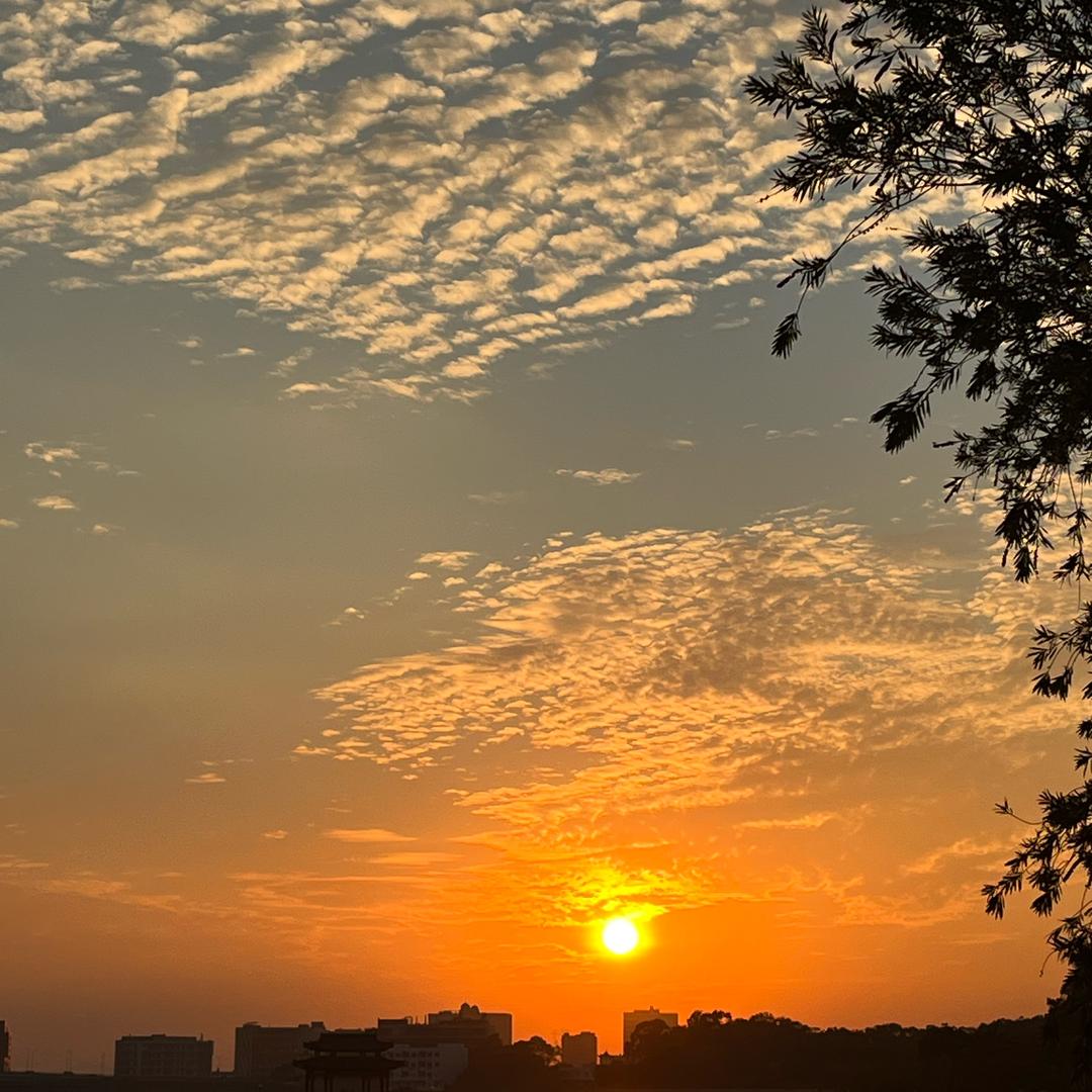 @爱跳舞的，珠珠💃🏻