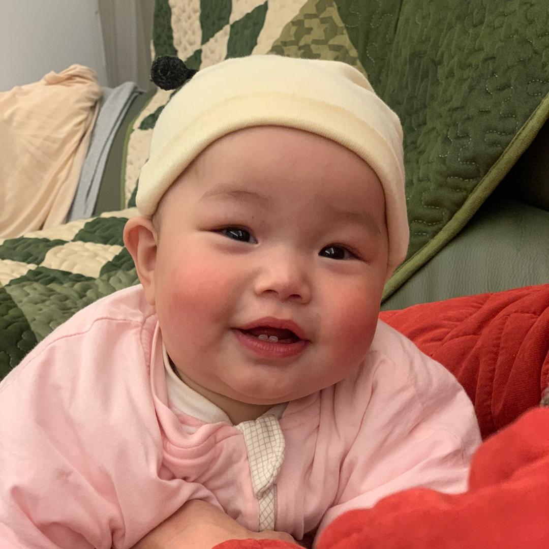小小苟