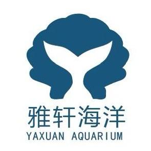 快乐马(雅轩水族)