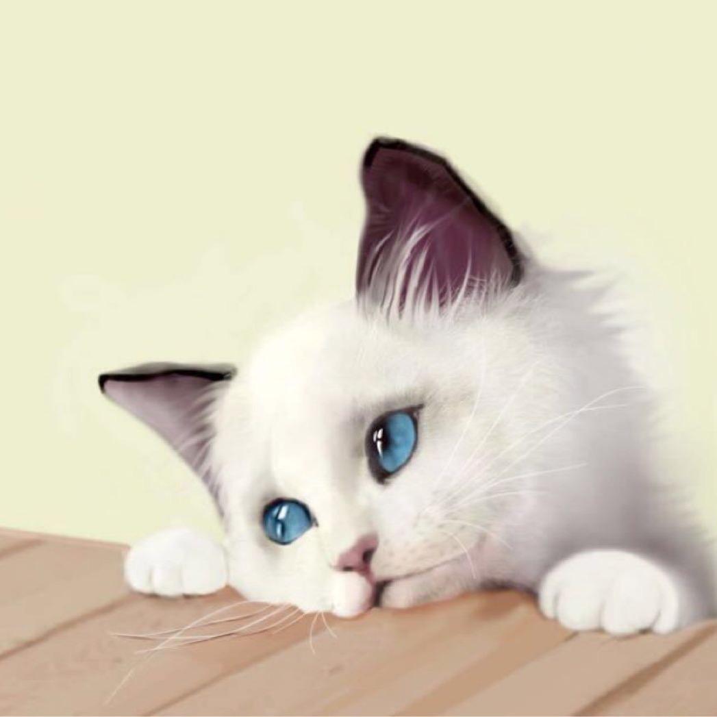 于小妮