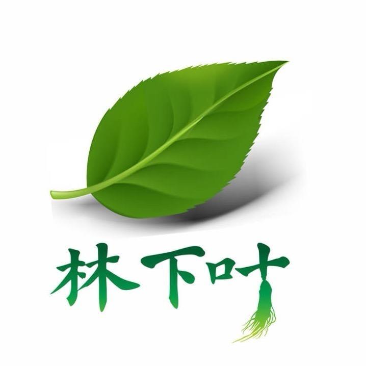 林下叶人参旗舰店