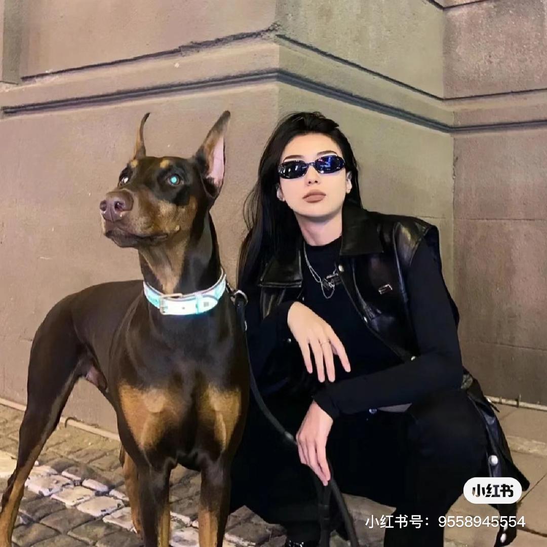酷酷的小李