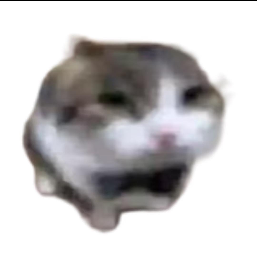 空头支票
