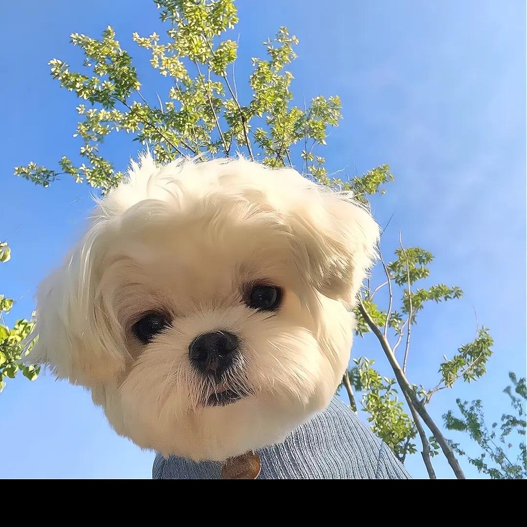 一富亿日98