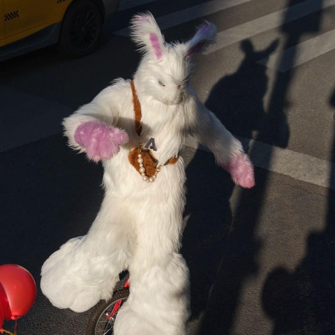 兔子🐰(减肥版)