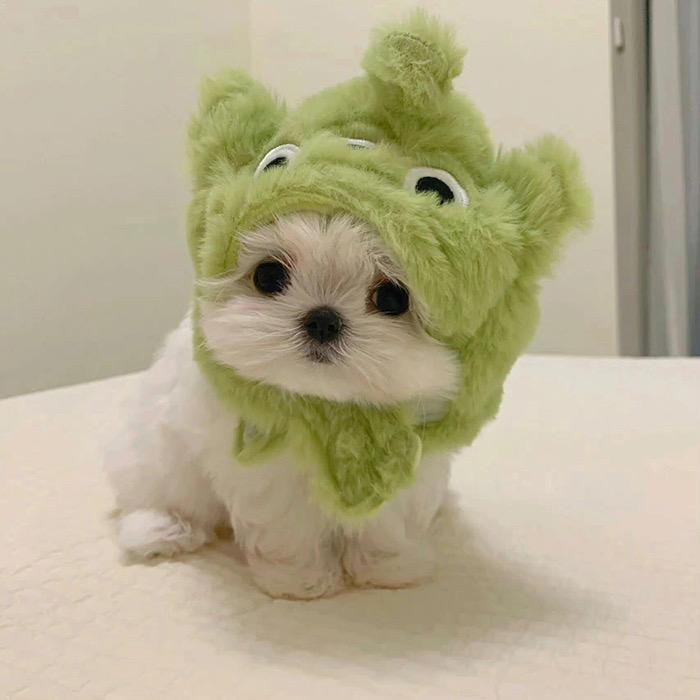 开心