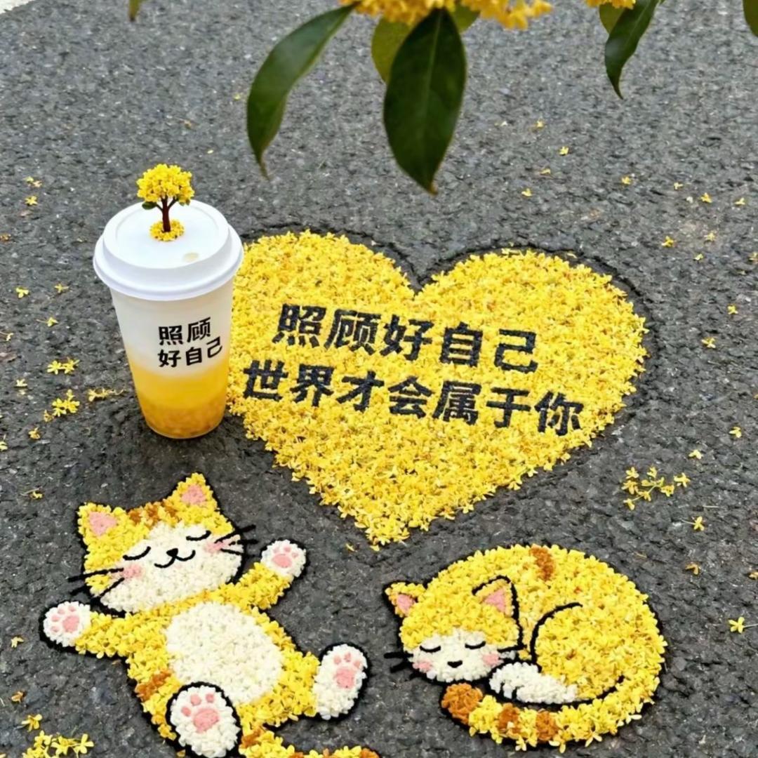 。。。。。。。