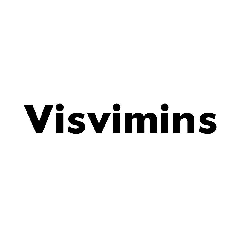 Visvimins