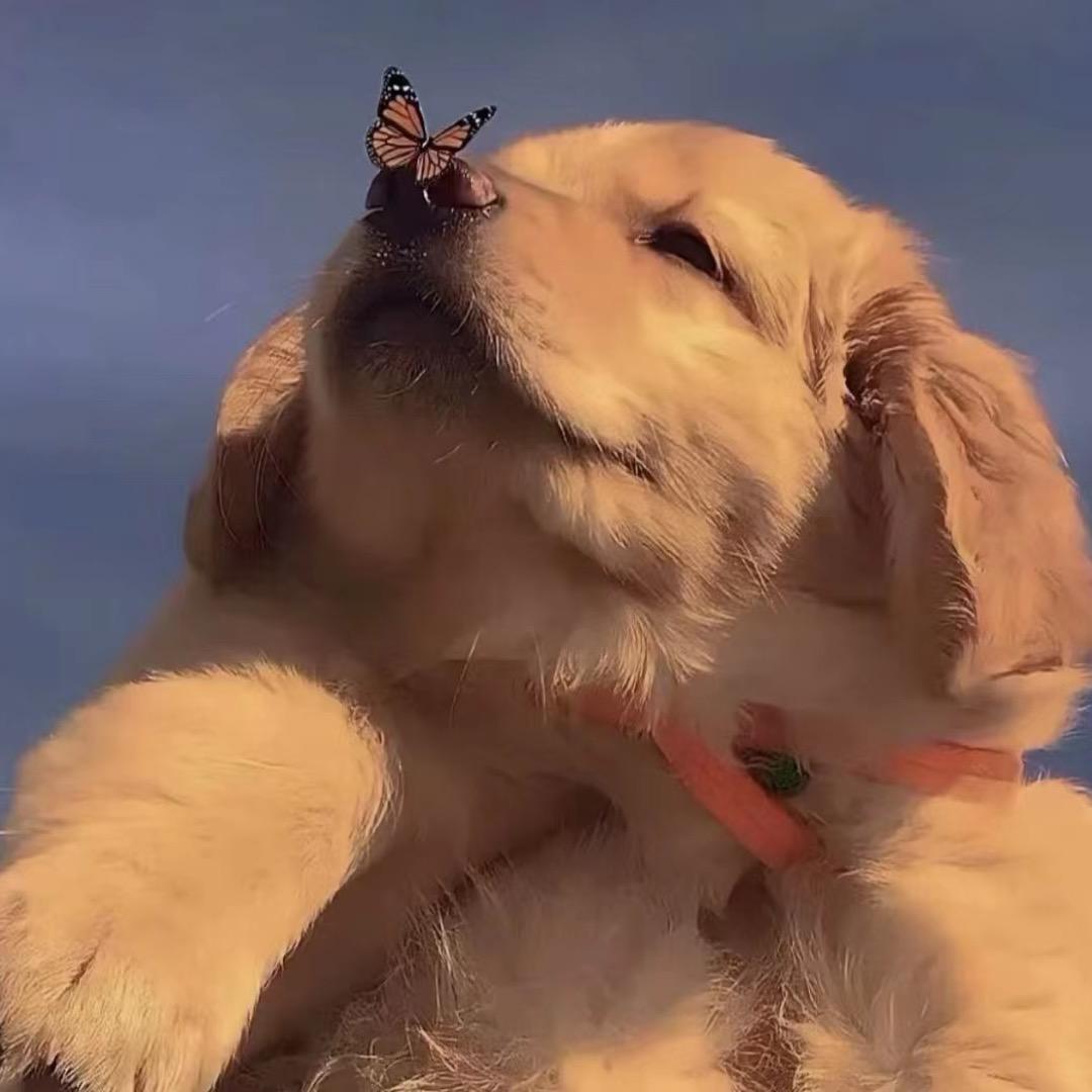 部落冲突雷雨辰