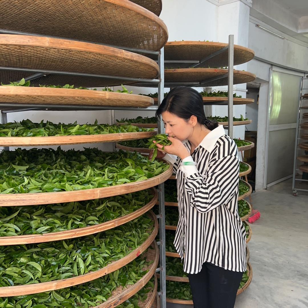 陆丰市甲子茗轩茶行