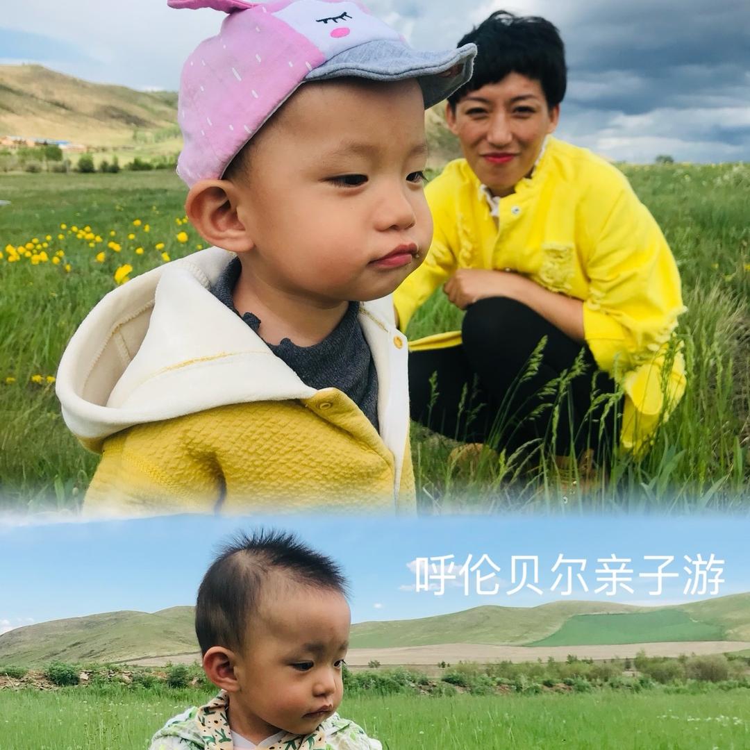 呼伦贝尔市小哈哈旅行有限责任公司
