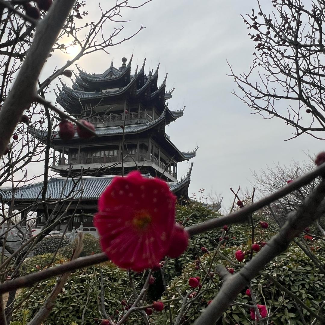 掠影榆榆