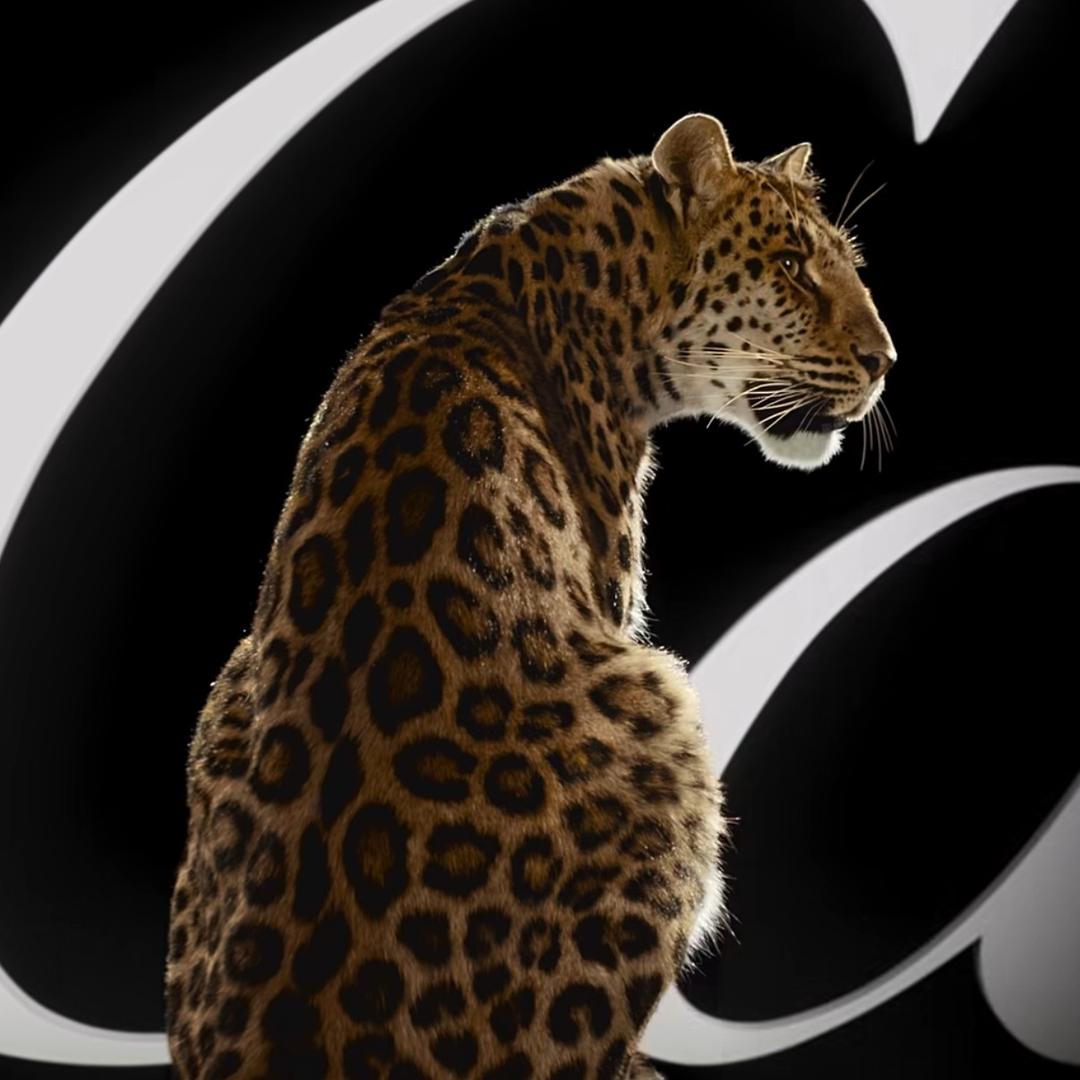 小陈                🪳