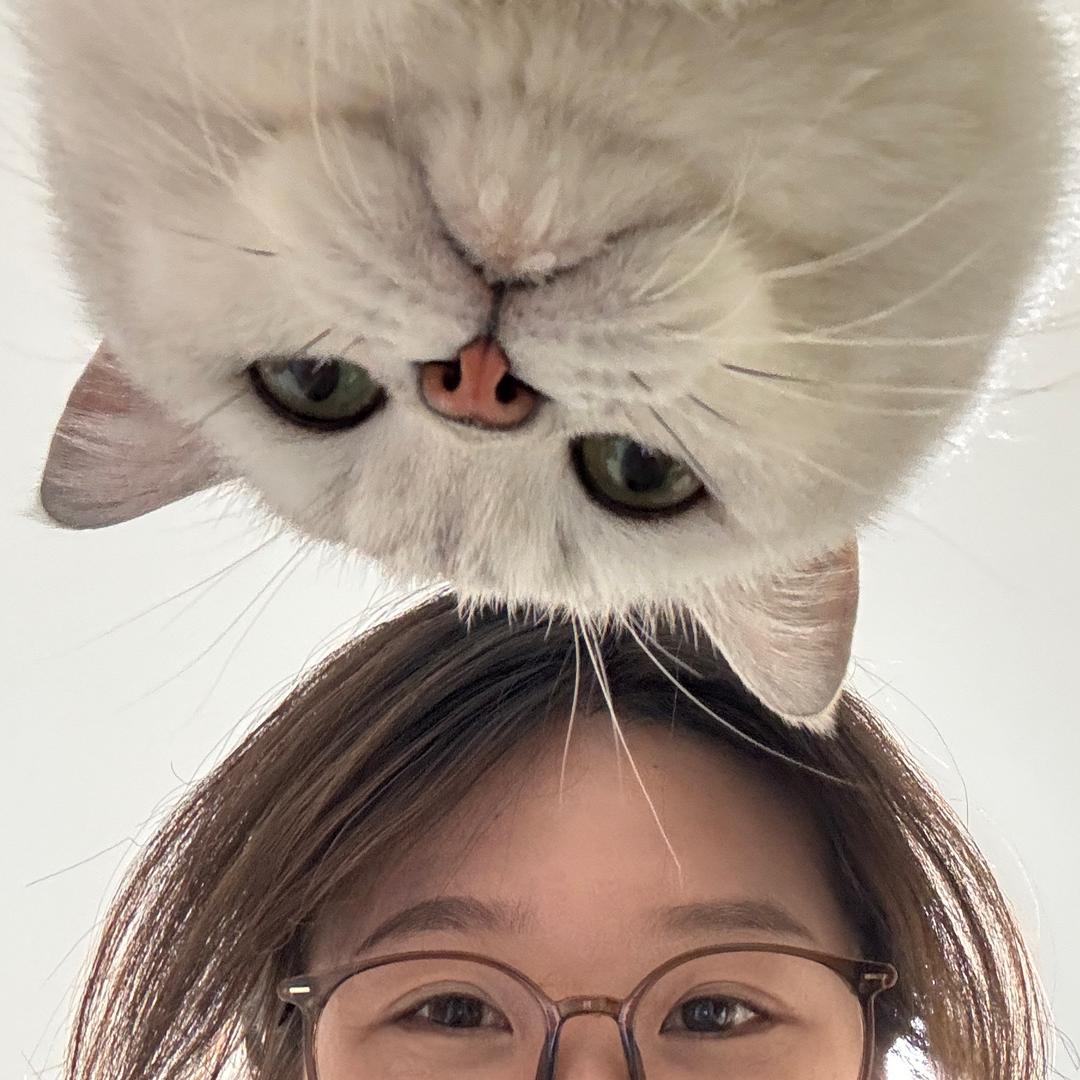 ʚɞ