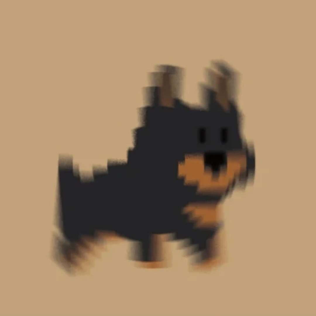一只Lucas