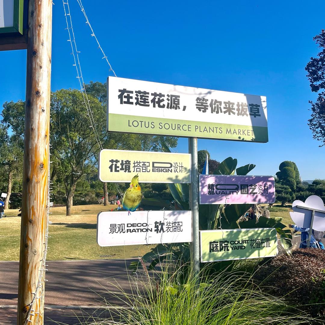 春秀(专场千古情刘三姐)