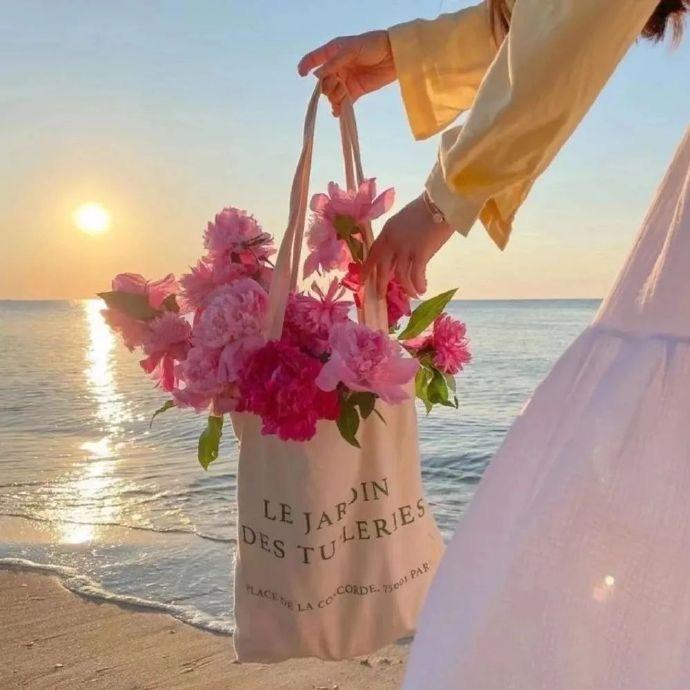 绿之缘鲜花绿植