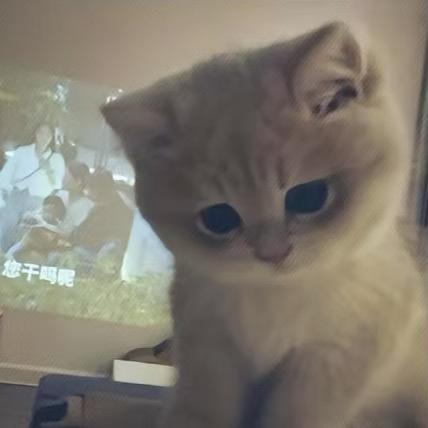 花y