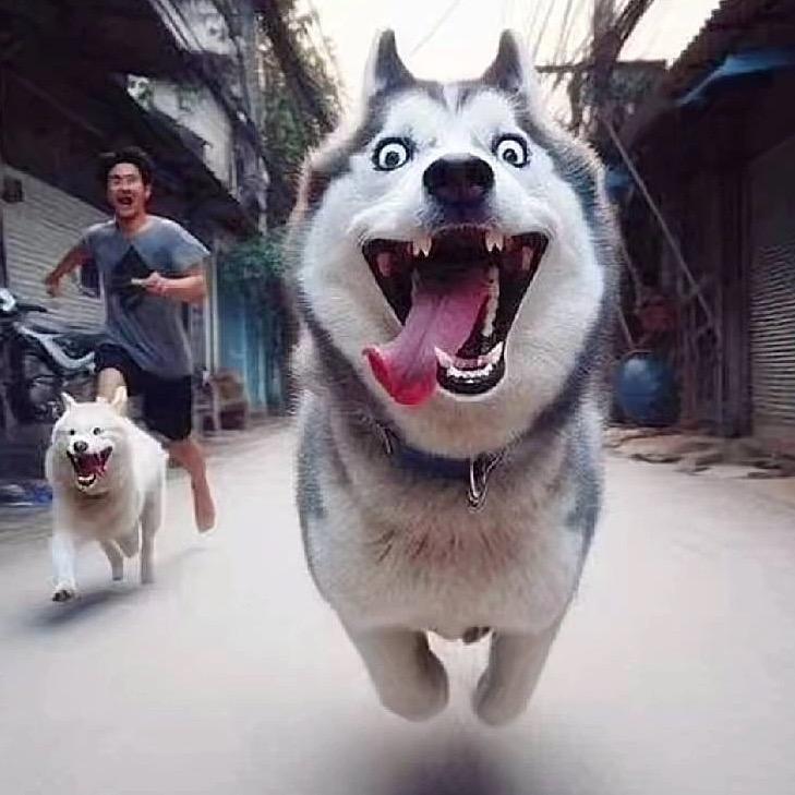 东哥的小可爱😍