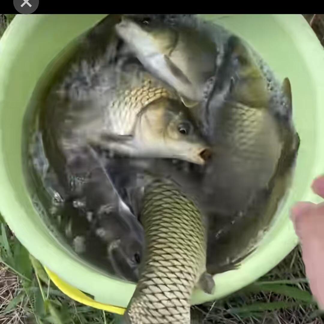 铭灏3合1