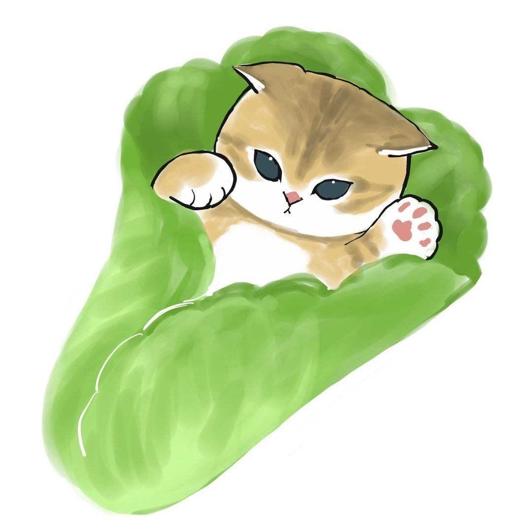 我是菜猫猫～