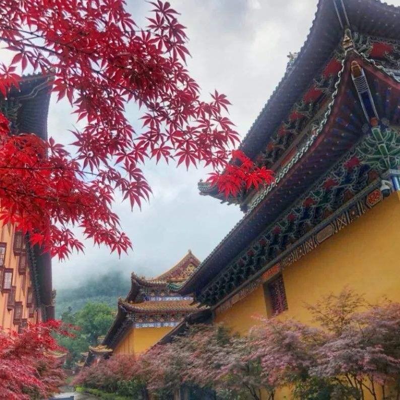 慧者师傅