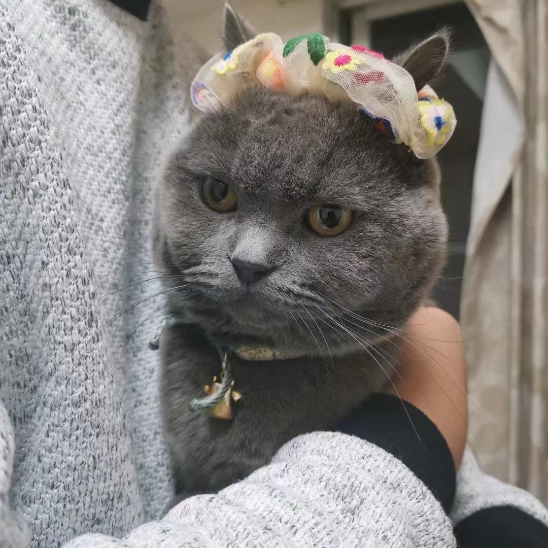 好久不见