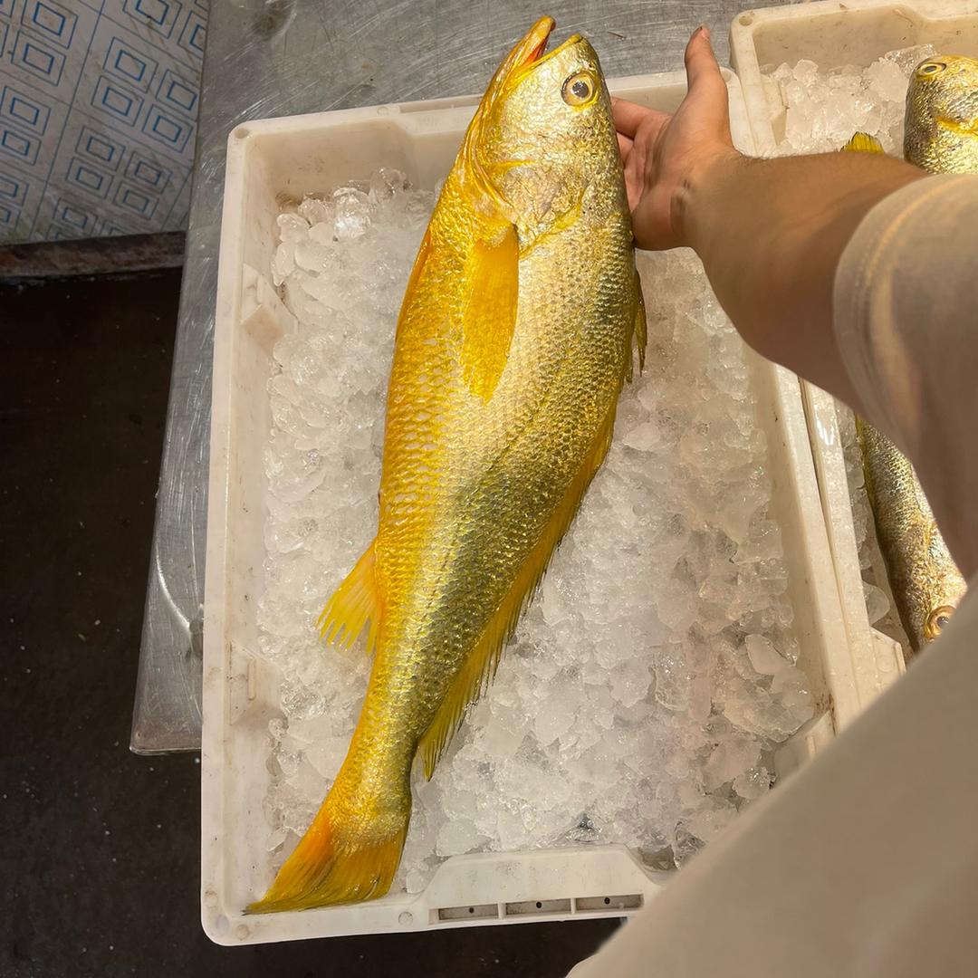 舟山龙华万鱼水产