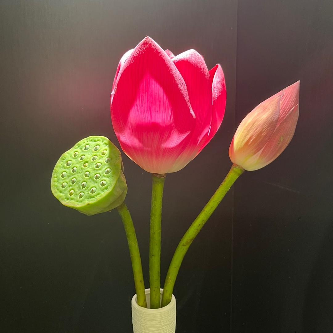 小满好物分享～