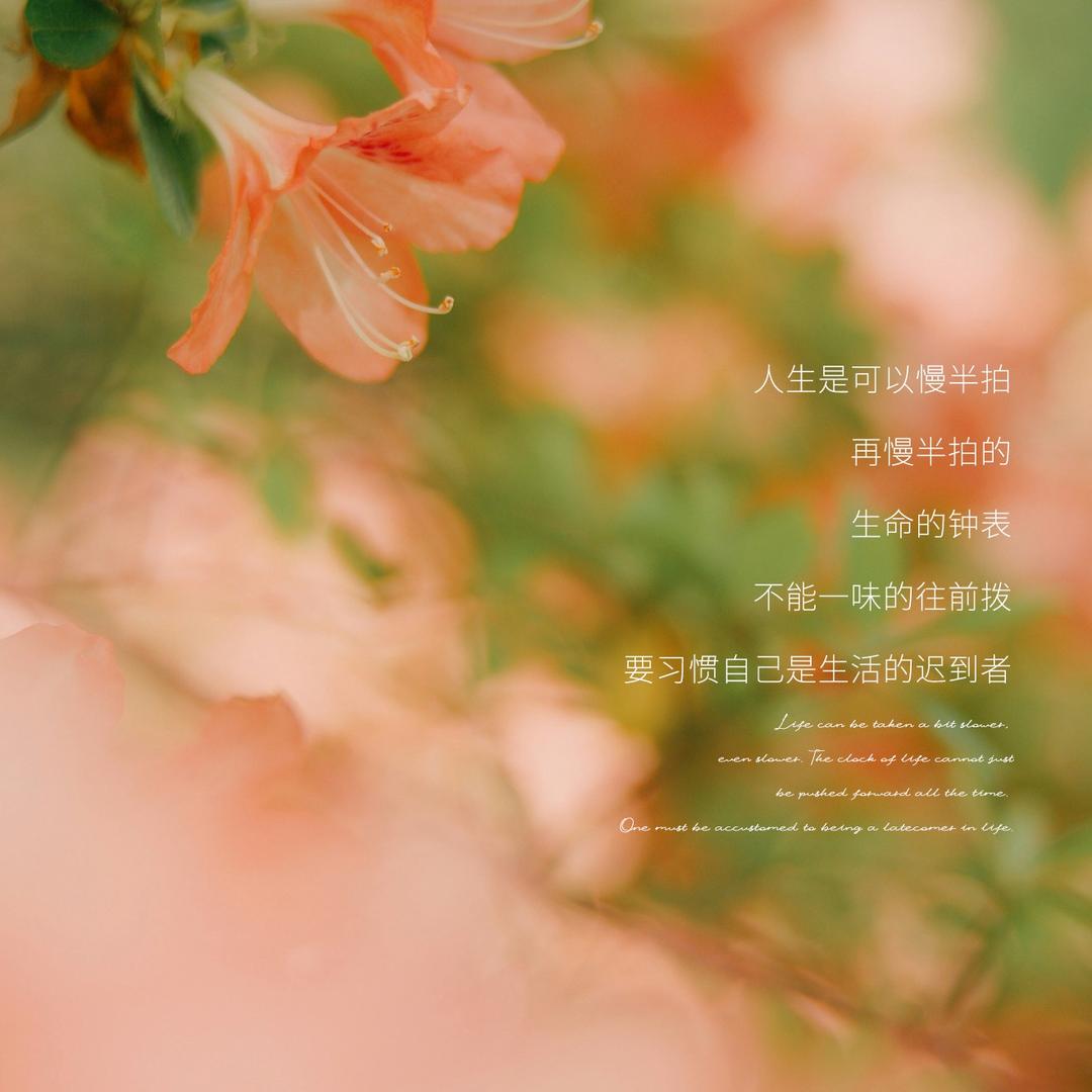 ʚ暴富小财迷ɞ