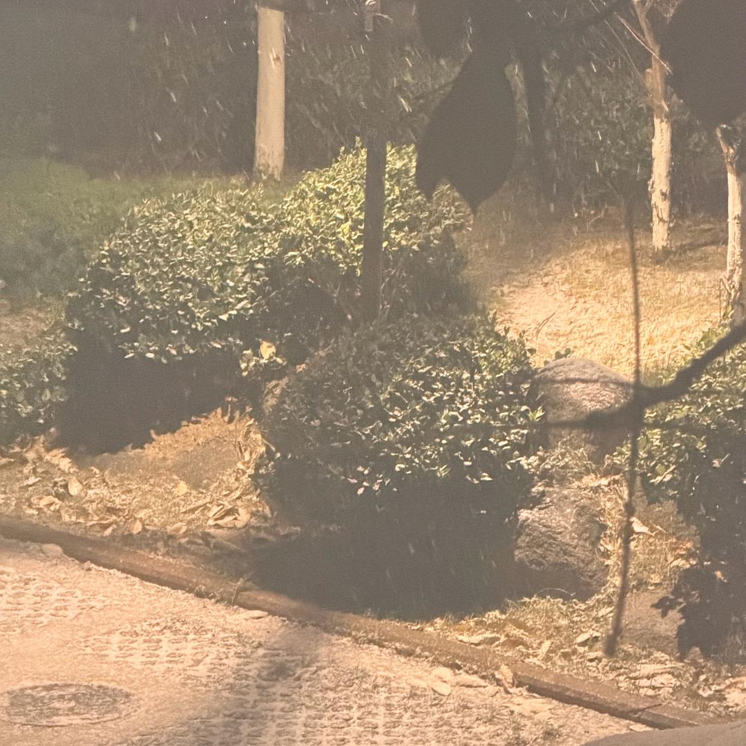 用户96384992639991