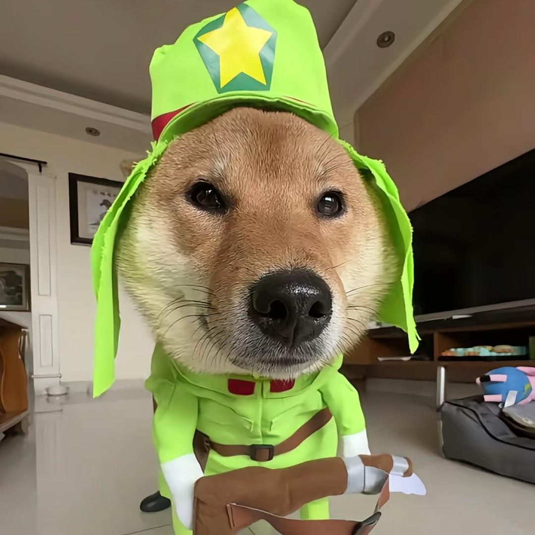 只会C和弦