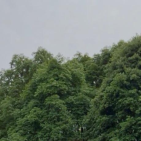 闪闪的闪闪