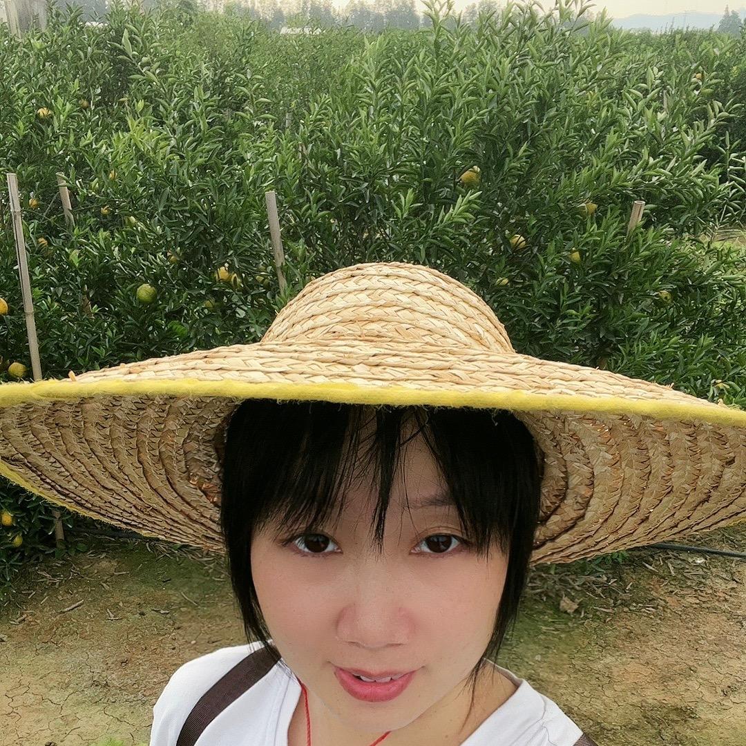 柑亦有道陈皮食品