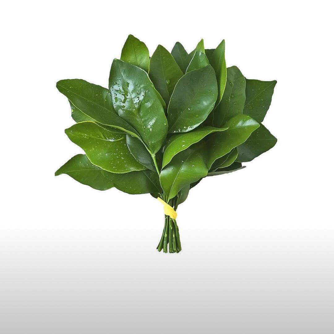 小涵