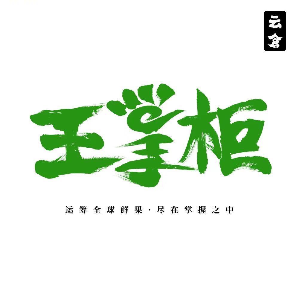 沈阳八家子王掌柜