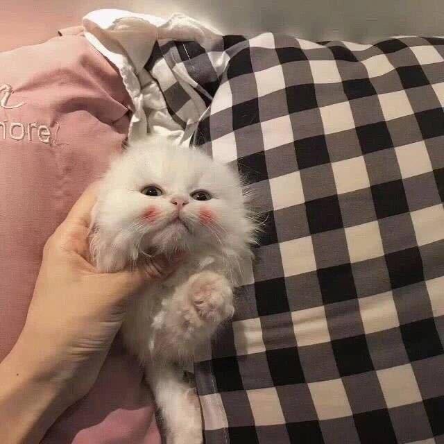 管二乐