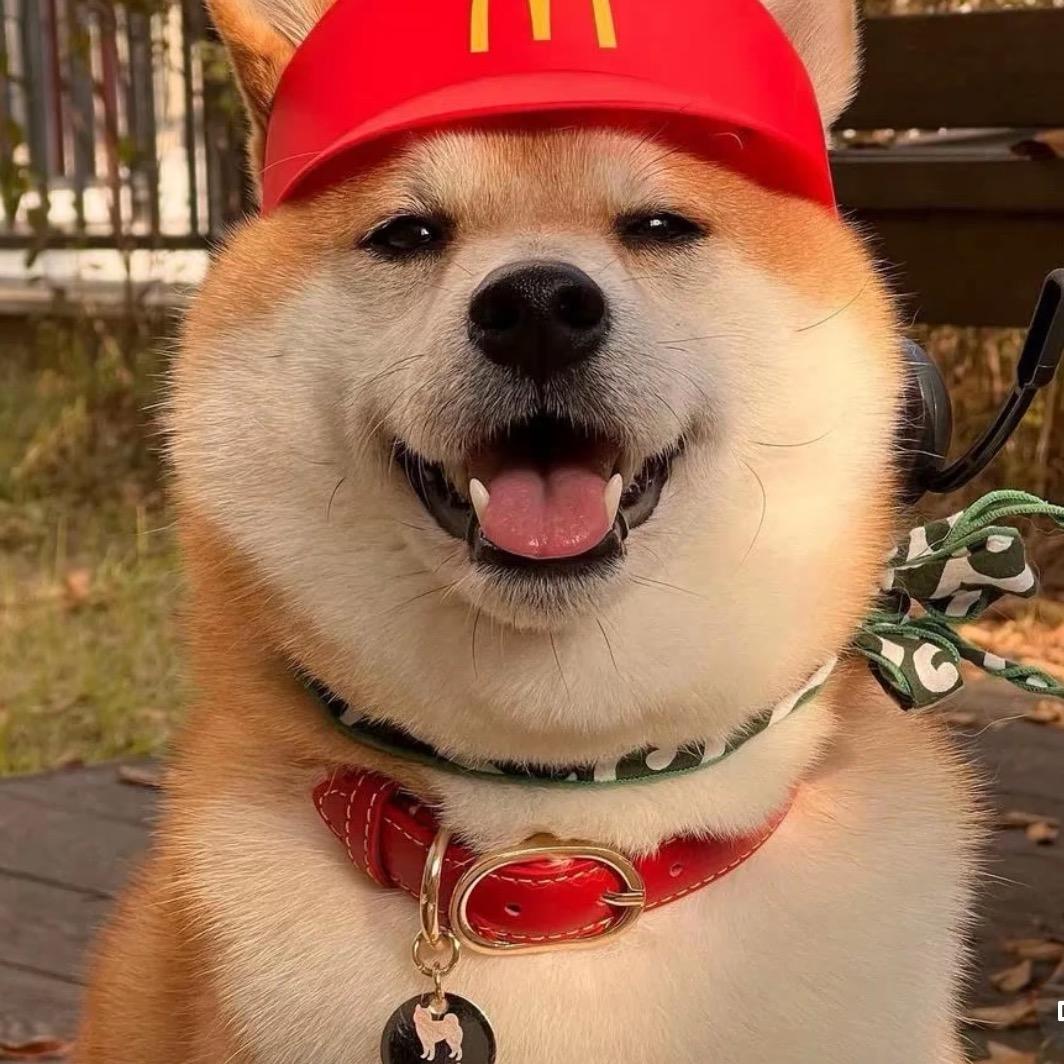 勇往直前