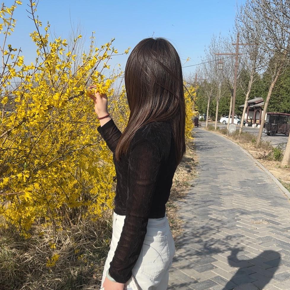 陈宝🍀