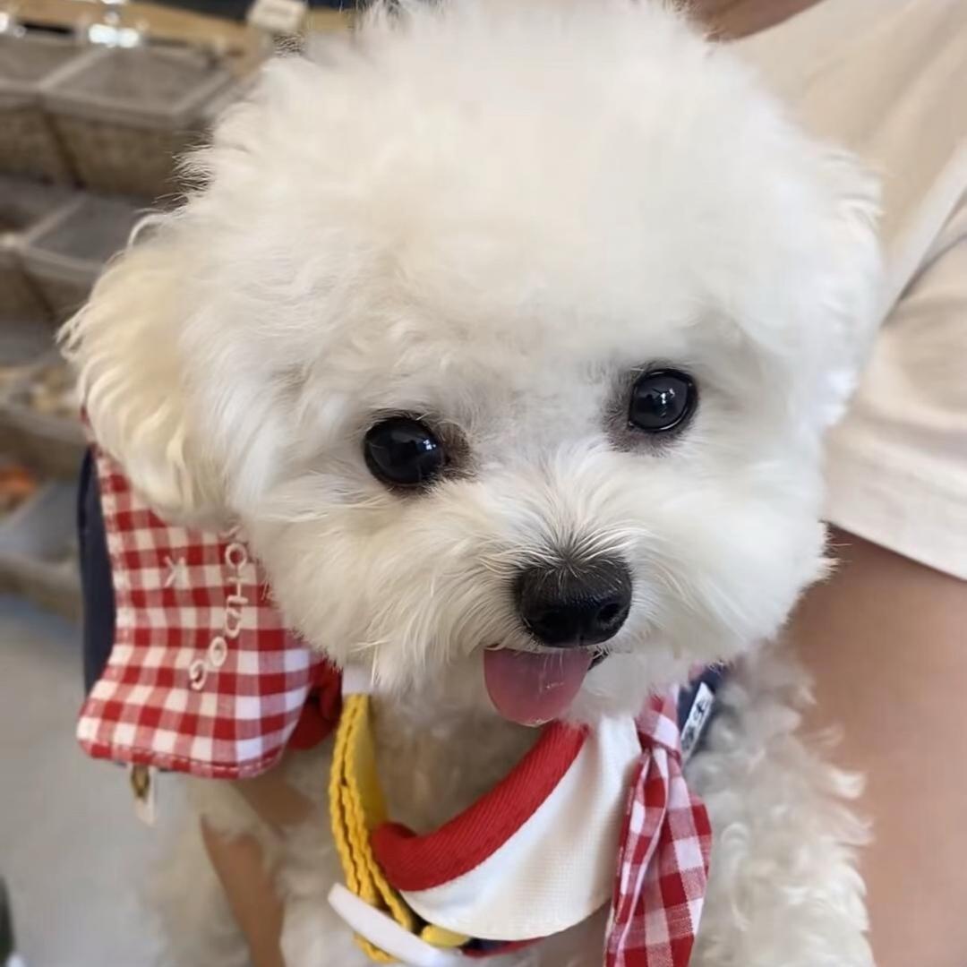 亿个溢